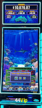 A Ascensão dos Esportes Eletrônicos: Um Novo Paradigma no Entretenimento